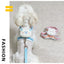 Cute Bear Solid Pet Dog Leash Set Nylon Durable 150cm Harness Collar for Cats Walking Anti Lost Chihuahua York Dog Accessories