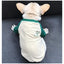 2022 Spring and Autumn New Style Pet Parent-child Clothing Bichon Cat Clothes Embroidered Dog Costumes