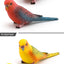 Simulated bird parrot children's ornament toy