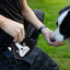Dog Treat Training Pouch Silicone Pet Feed Snack Reward Pocket Fanny Pack Waterproof Dog Food Dispenser for Pet Training Walking