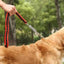 1Pcs 50cm Length Super Strong Nylon Dog Leash Dog Collar Leads For Medium Large Dogs with Spring Anti Pull Leashes Pet Supplies