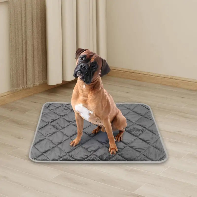 Heating Pad for Cats and Dogs Pet Blankets Temperature Sensing Self Warming Heated Cat Mat, Thermal Blanket, Anti Slip Pads