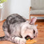 Catnip Wall Spin Ball Catnip Ball Toy Edible Cat Catnip Toys Promotes Digestion Enhances Appetite Wall Cat Lick Ball for Cat