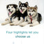 Good Price Veterinary cage Stainless Steel Four Sets of Dog Cat Stainless Steel Pet Cage