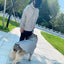 Pet Clothes  Pets Acessorios  Dog Clothing  Dog Costume Parent-child Wear Spring and Autumn One Color Eight Sizes