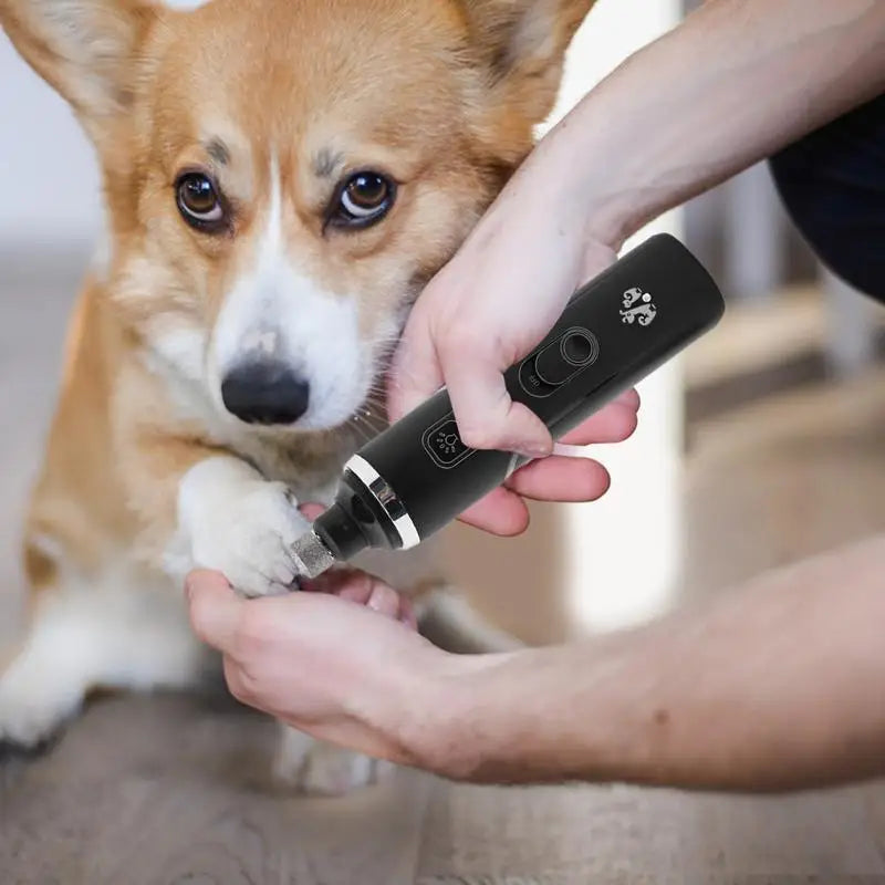 Dog Nail Trimmer 2 Speeds Electric Pet Nail Cutting Quiet Rechargeable Large Nail Grooming Kit Puppy Kitten Claw Cutter