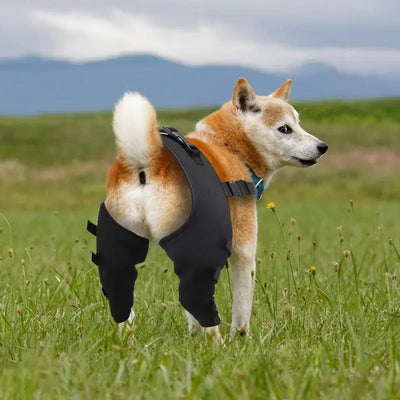 Dog Hip Brace Adjustable Pet Dog Legs Protector Supporter Knee Brace Rear Leg Support Joint Wrap for Pets Legs Recover Supplies