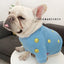 Dog Hoodie Dog Costume Pet Clothes Dog Clothes for Parent-child Wear Spring and Autumn Parent-child Wear Keep Warm Embroidery
