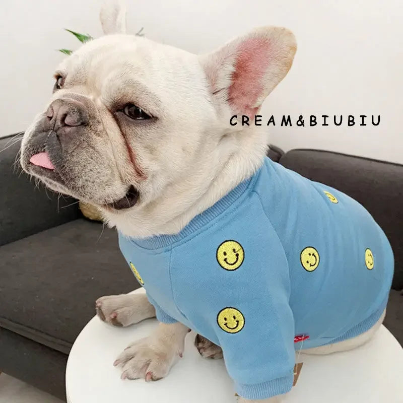 Dog Hoodie Dog Costume Pet Clothes Dog Clothes for Parent-child Wear Spring and Autumn Parent-child Wear Keep Warm Embroidery
