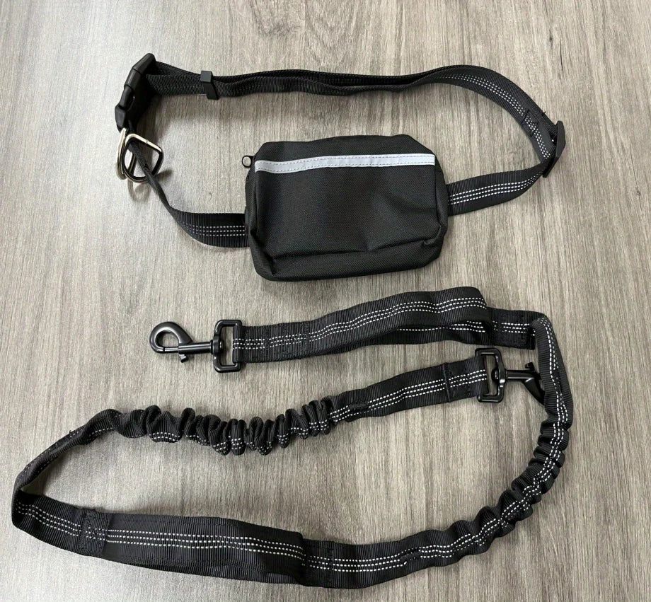 Dog Leash Hands-free With a Waist Bag  Hold Items Harness for Small Breeds Dogs Choker Collar Personalized Nylon Dog Accessories