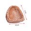 Resin Aquarium Pet Reptile Feeder Bowl Basin Food Water Pot Reptile Turtle Tortoise Scorpion Lizard Crabs Supplies 10cm