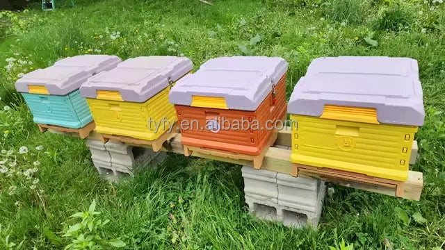 BAQIAN Hot Sale Plastic Bee Hives for Sale 1 Layer 10 Frame Polystyrene Bee Hive Plastic