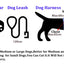 Led Light Up Dog Leash Walking Safety Glow in The Dark USB Rechargeable Adjustable for Large Medium Small Pet Lighted Dog Collar
