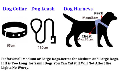 Led Light Up Dog Leash Walking Safety Glow in The Dark USB Rechargeable Adjustable for Large Medium Small Pet Lighted Dog Collar