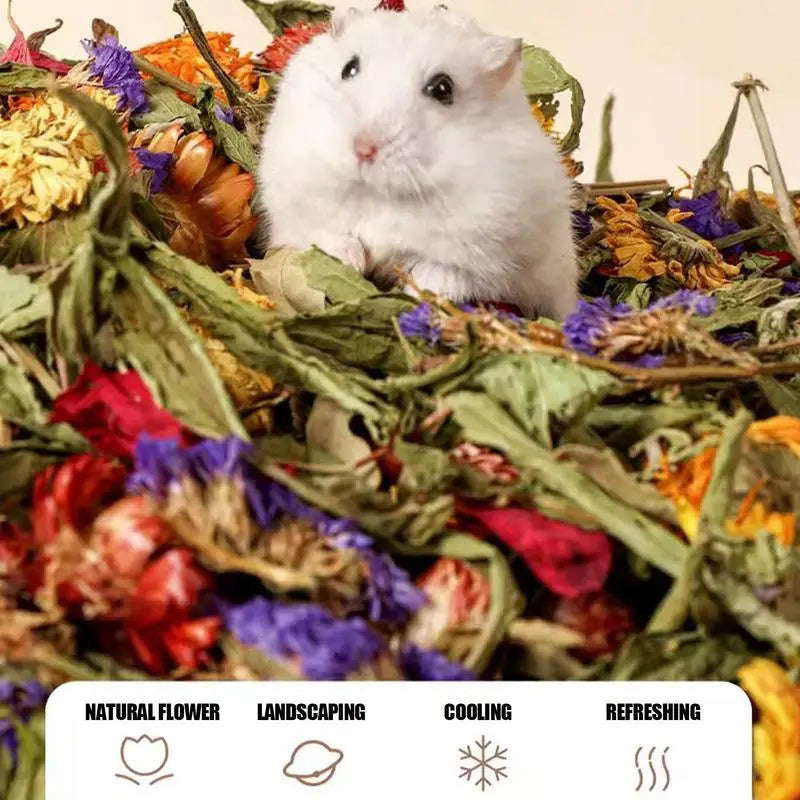Hamster Flowers Natural Dried Flower Gerbil Bedding Odor Control Enclosure Habitat Decor For Rabbits Gerbils Or Other Small