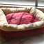 Pet Dog Bed Clearance 2025 Non Use Limited Stock Small Medium York Dog Sleeping Napping Mattress Winter Warm Home