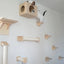 Cat Wall Mounted Shelves Climbing Ladder Cat Bridge Step and  Platform with Scratching Post for Grinding Claw and Playing