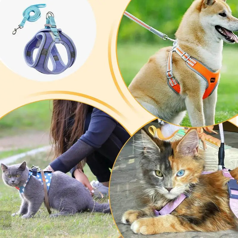 No Pull Pet Harness Dog Vest Harness Breathable Reflective Strips Harness Comfortable Adjustable Soft Padded Harness For Dogs