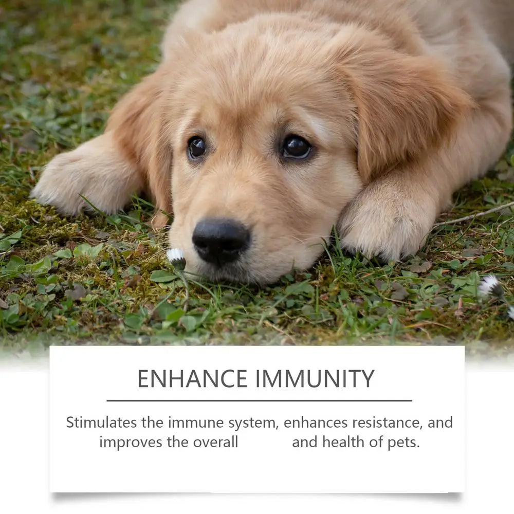 Dog Support Supplements 30ml Dog Immune Support Drops Nutrition Supplement For Dogs Natural Supplement Pet Supplies