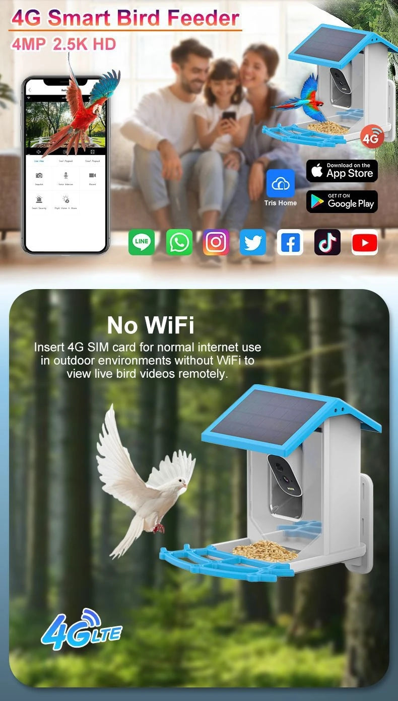 Bird Smart Feeder with Camera 1080P Solar Low Power Night Vision IP66 Waterproof 4G or WIFI Connect Real Bird Species Feeder