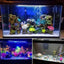 Fish Tank LED Bubble Light Colorful Light With Aquarium Remote Control Color Changing Bubble Light LED Diving Light Fish Tank