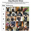 Adjustable Dog Muzzle Soft Silicone Breathable Strong Basket Small Medium Large X-Large Dogs Mouth Muzzles Lightweight & Durable