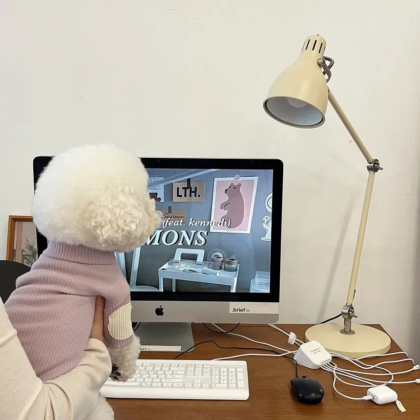 Fashion Pet Dog Bottoming Shirt Puppy Solid Color Clothes Winter Teddy Warm Two Legged Clothing Pet Poodle Pullover Dog Jackets