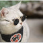 Anti-slip Cat Sunglasses Pet Accessories Small Dog Sun Glasses Classic Retro Circular Glasses for Kitten Photos Props Cosplay