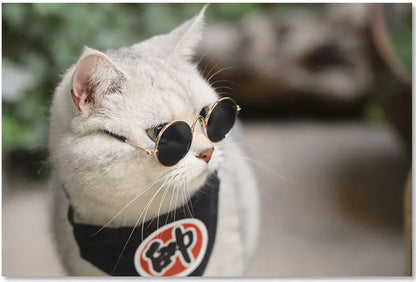 Anti-slip Cat Sunglasses Pet Accessories Small Dog Sun Glasses Classic Retro Circular Glasses for Kitten Photos Props Cosplay