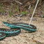 Small Snake Hook Professional Snake Pole Reptile Hook Length 6.30-26.78in Maintain A Safer Distance For Catching Controlling
