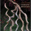 Climbing Pet Climbing Wooden Landscape Tree Vine Natural Dead Wood Crawler Rainforest Tank Tree Frog Crossing River Dragon Vine