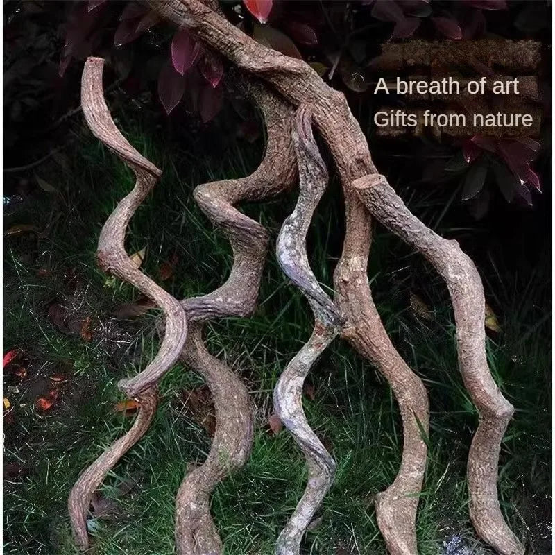 Climbing Pet Climbing Wooden Landscape Tree Vine Natural Dead Wood Crawler Rainforest Tank Tree Frog Crossing River Dragon Vine