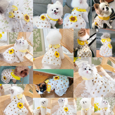 Dog Sunflower Dress Summer Dog Clothes Luxury Dog Skirt Pet Dog Apparel Bow Lace Dresses Chihuahua Bichon Kitten Puppy Clothing