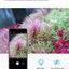 Aquarium Lighting APP Control WEEK AQUA M Series LED Full Spectrum Plant Grow Light with Cycle Timer Telescopic Fish Tank Light