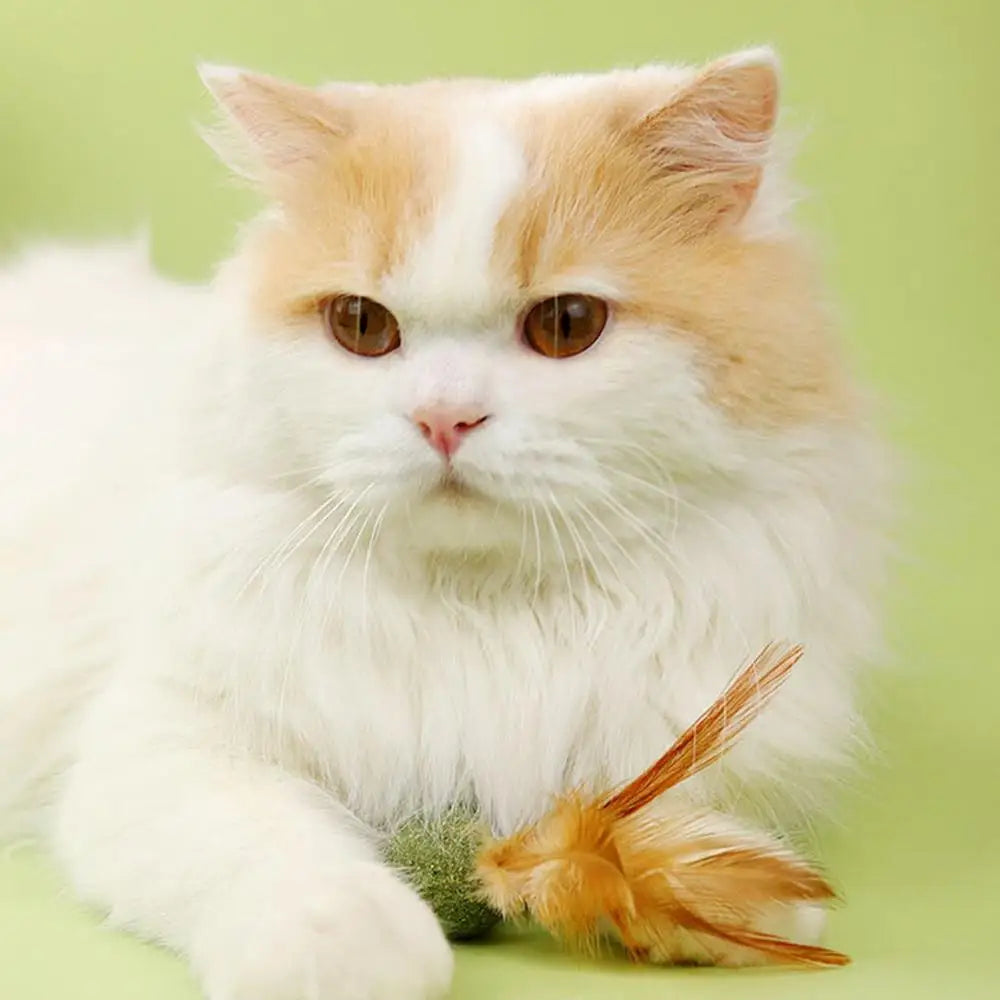 Catnip Ball Feather Cat Toy Ball Feather Cat Tooth Cleaning Cat Toy Catnip Ball Interactive Chew Catnip Pet Supplies