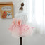 Bow Tie Female Fancy Dresses for Medium Dogs Pink Veil Romantic Heart Print Spring Puppy Tutu Skirt Lace Wedding Cat Clothing