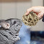 Big Discoun t Natural Straw Ball Small Pet Chewing Toy Pet Playing Rabbit Hamster Chewing Toy Teeth Cleaner Pet Teeth Cleaning