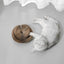 Magic Organ Cat Scratcher Organ Cardboard Scratching Board with Toy Bell Indoor Cat Grinding Claw Scratching Board Interactive