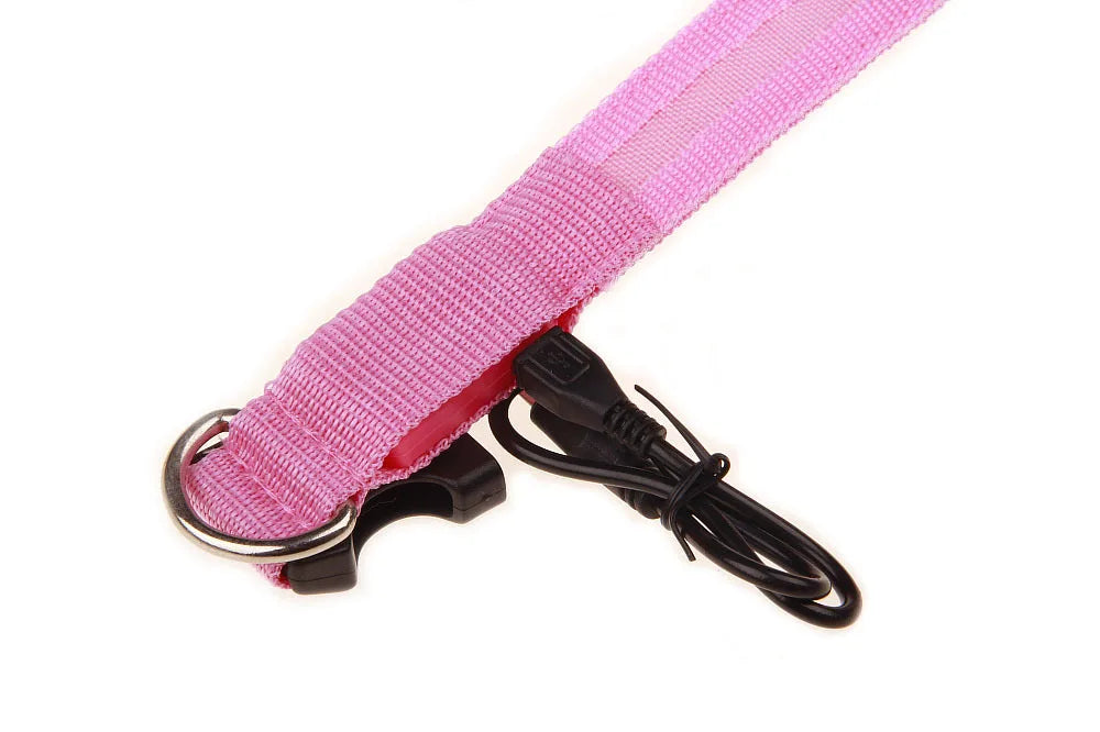 LED Dog Collar USB Rechargeable - Bright & High Visibility Lighted Glow Collar for Small Medium Large Breeds Pet Night Walking