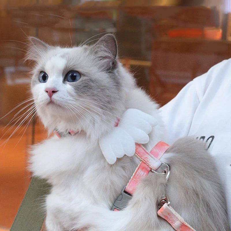 Adjustable Bunny Cat Dog Harness and Leash Set Walking Pet Harnesses for Small Animals Cats Rabbit mascotas Accessories Supplies