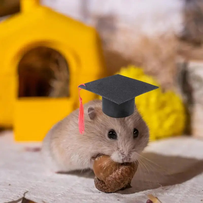 Pet Doctor Hat Pet Graduation Costume Hat Dog Graduation Hats With Red Tassel Hamster Graduation Costume Hat For Dogs Cats