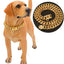 Stainless Steel 18K Gold Dog Collar, Wide Pet Choker, Metal Dog Necklace, Pet Supplies, Accessories for Dogs, 14mm