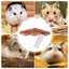 Hamster Platform With Ladder Safe PVC Play Gym With Ladder Pet Supplies Small Animal Habitat Decor For Hamsters Hedgehogs