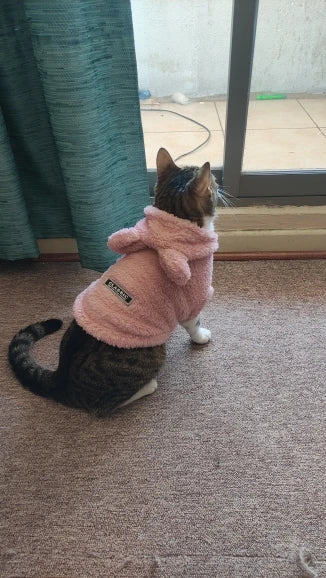 Clothes For Cat Sphinx Jacket Cat Clothes Egyptian Kitten Clothing Dog Hoodie Yorkshire Sweater Puppy Pet Chihuahua Hairless Xs