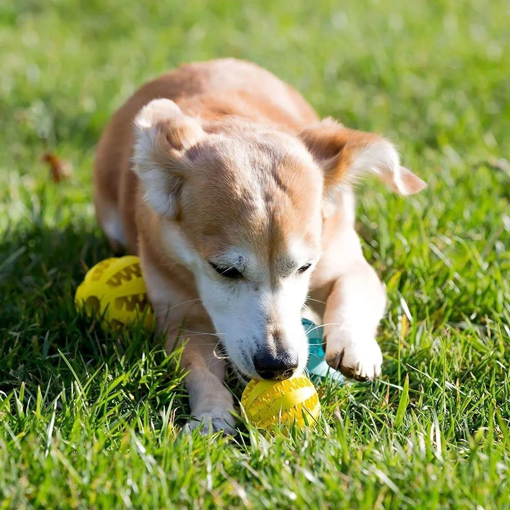 Silicone  Dog Toys Stretch Rubber Leaking Ball Funny Interactive Pet Tooth Cleaning Balls Bite Resistant Chew Toys