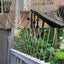 25/50cm Stainless Steel Bird Thorn Garden Orchard Fence Spikes Catcher Repeller Anti-Theft Pigeon Nails Plastic Base