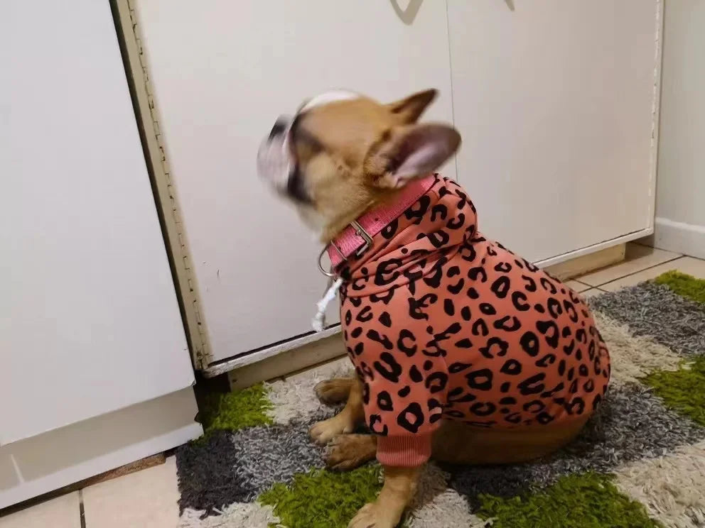 Warm Dog Clothes Hoodies for Small Dogs Cute French Bulldog Clothing Fashion Winter Puppy Supplies Cat Jumper Chihuahua Costume
