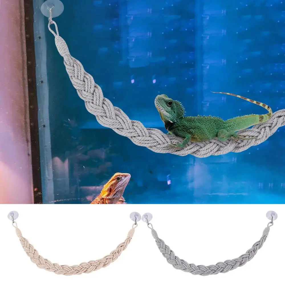 Hermit Crab Toys Hermit Crab Toys Reptile Tank Terrarium Accessories Reptile Tank Terrarium Accessories Hermit Crab Climbing