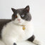 Luxury Dog Cat Necklace Jewelry with Heart Diamond Pendant Design Gold Chain Collar Pet Wedding Birthday Costume Accessories