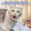 Pet Toothbrush Kitten Tooth Brushes Small Cats Safe Dog Oral Care Odorless Cat Tooth Care Brush With Anti-Slip Handle Pet Teeth